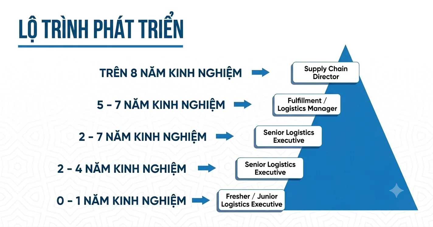 Lộ trình thăng tiến trong mảng logistics ecommerce cho sinh viên